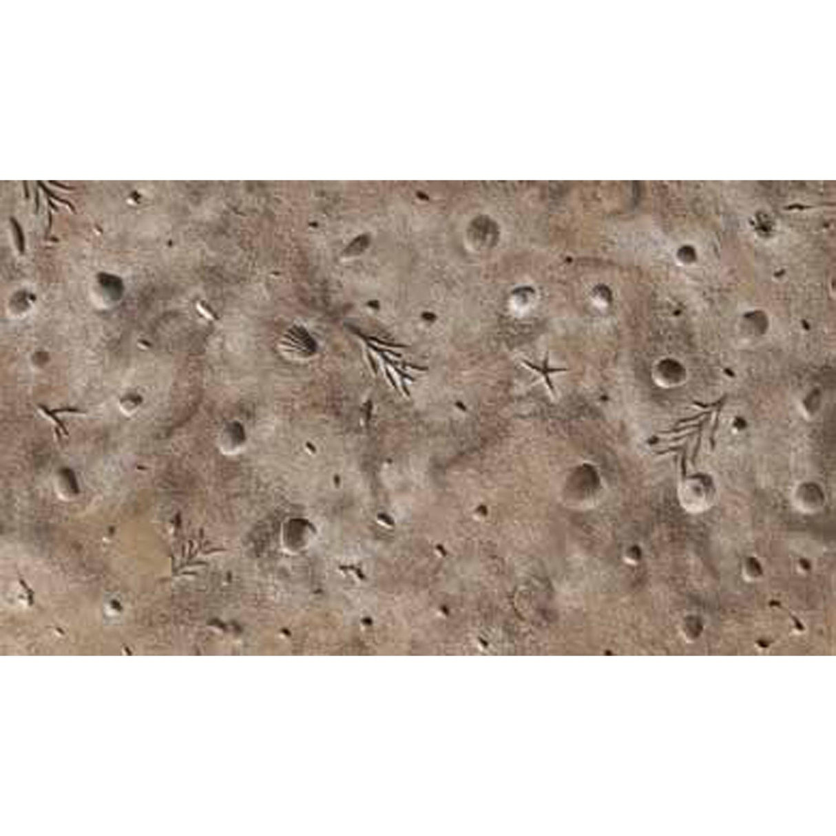 Bon Tool Gulf Coast Shells Texturing Skin