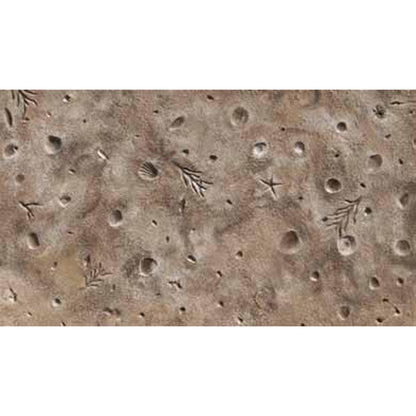 Bon Tool Gulf Coast Shells Texturing Skin