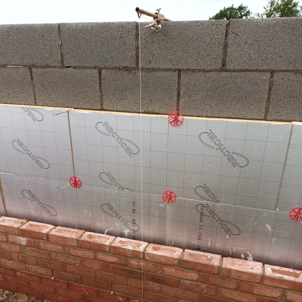 Rhino Plumb